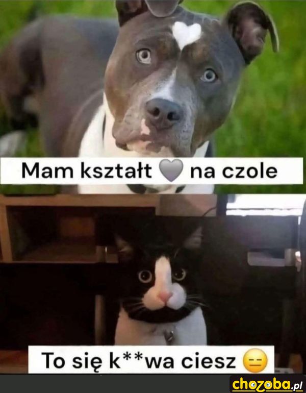 Kształt na czole