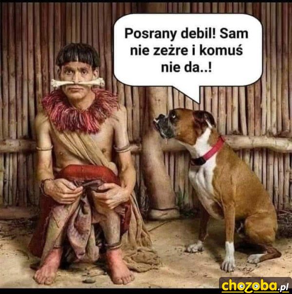 Kość