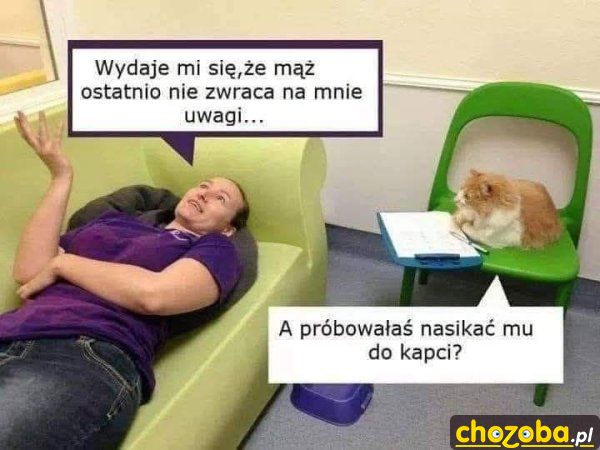 Koci psycholog