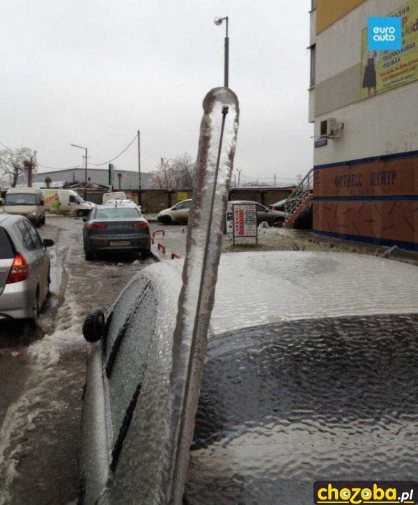 Zamarznięta antenka