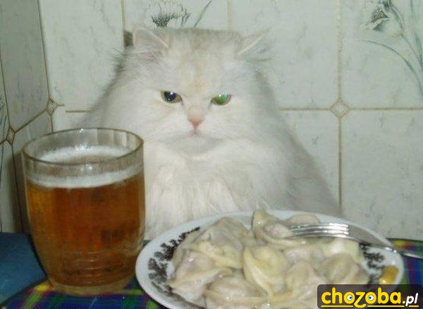 Piwo i pierogi
