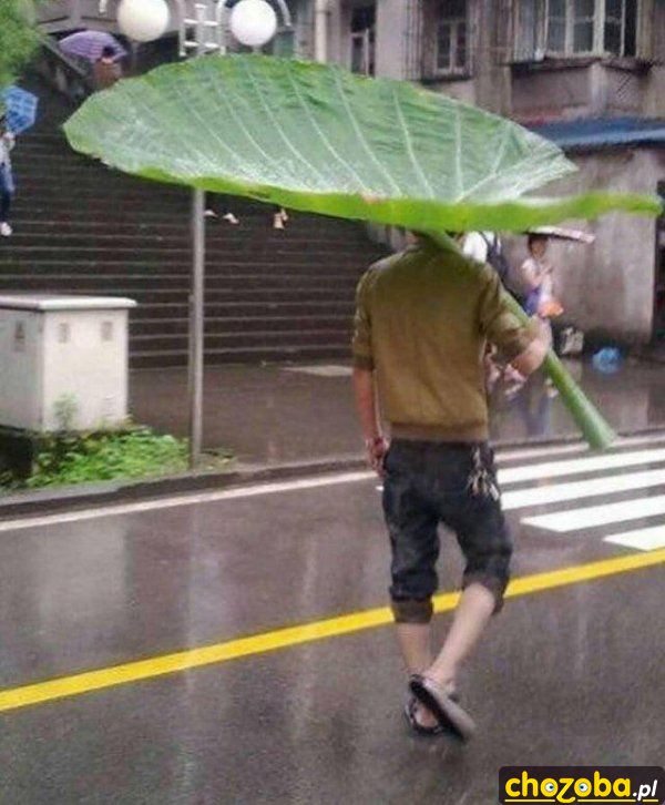 Darmowy parasol
