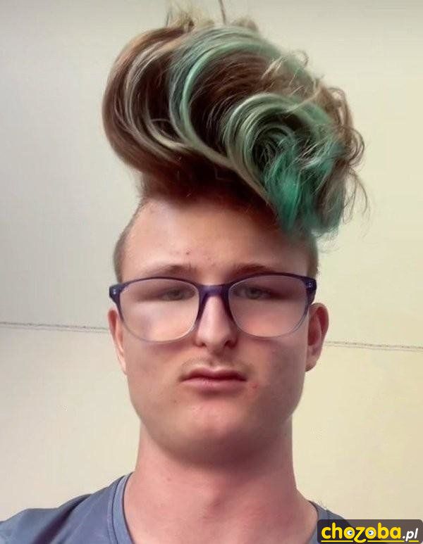 Fryzurka