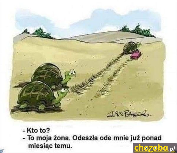 Żona odeszła