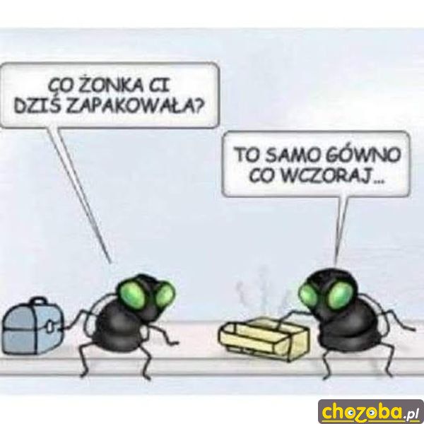 Śniadanie do pracy