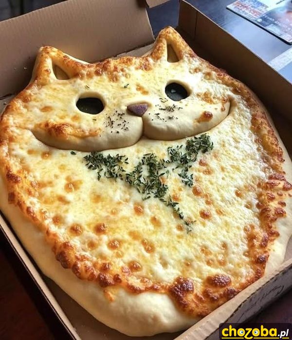 Kocia pizza