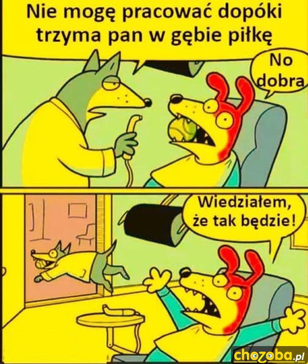 Psi dentysta