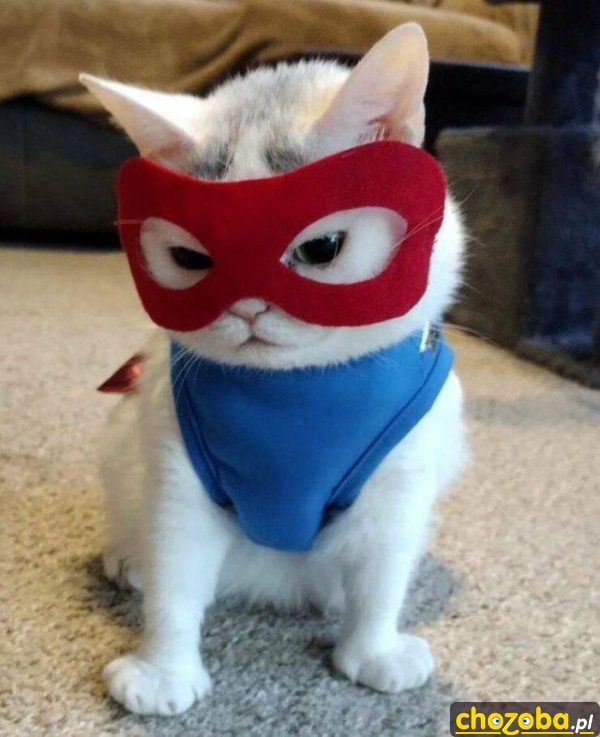 Super kot