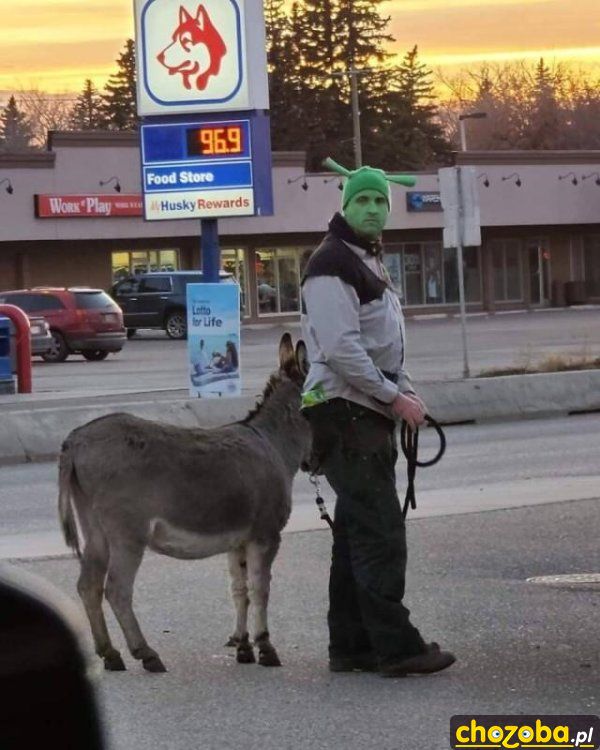 Shrek