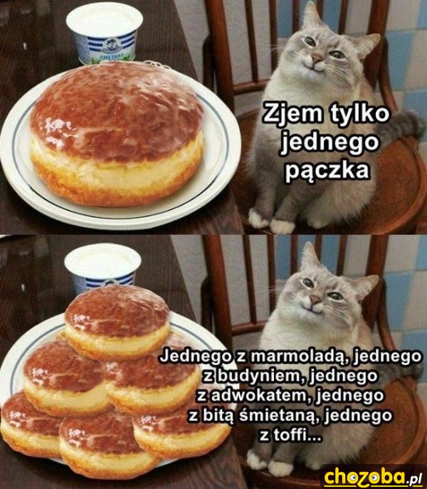 Jeden pączek
