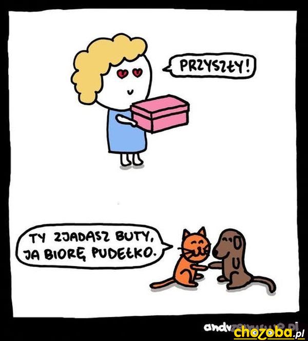 Pudełko i buty