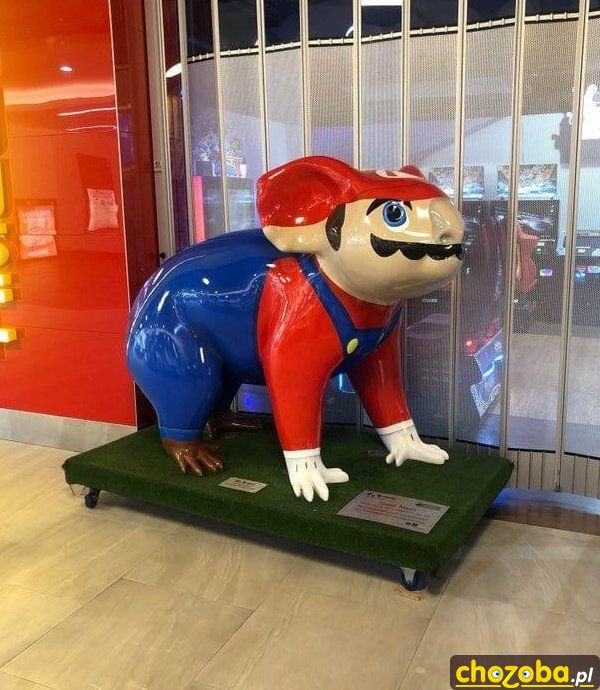 Mario
