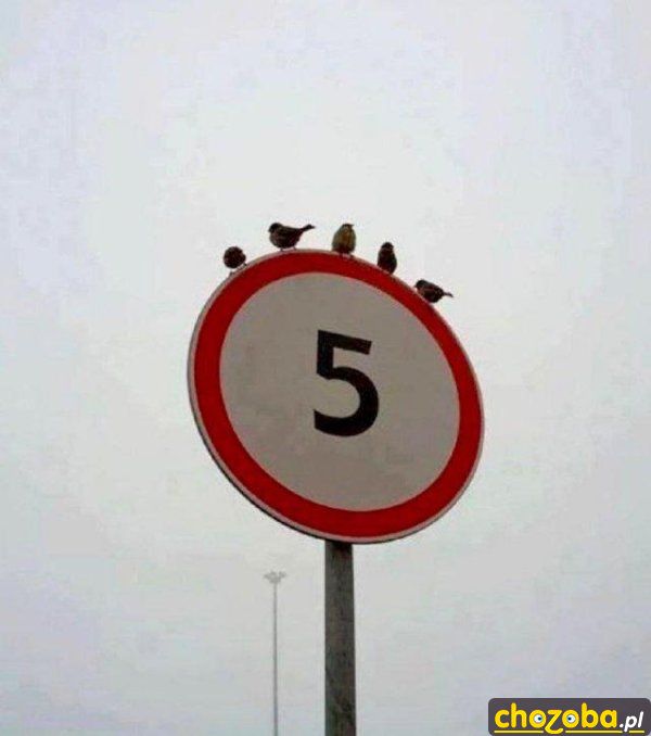 1744784146270959.jpg