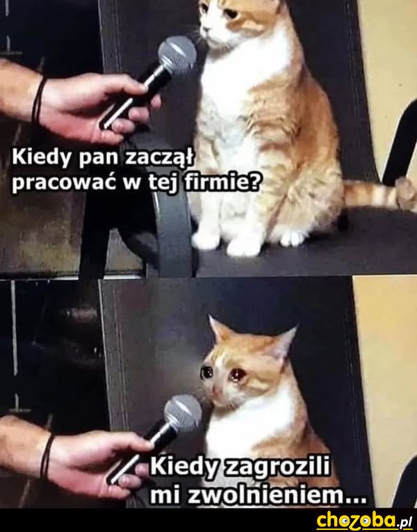 Zaczął pracować