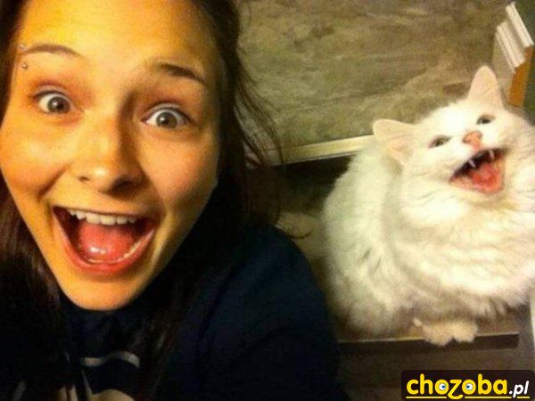 Selfie z kotem