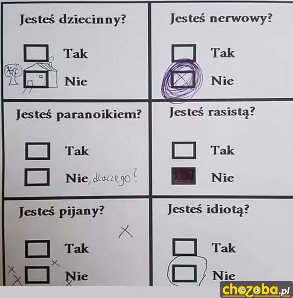 Ankieta