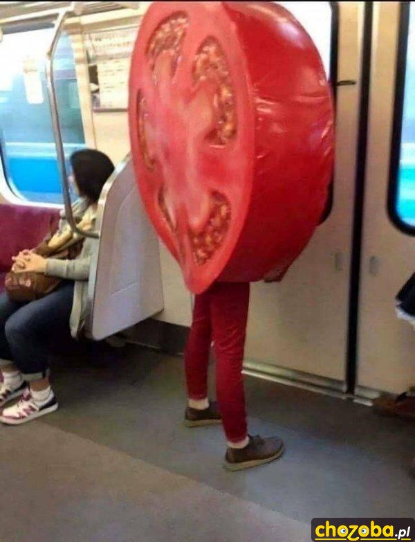 Pan pomidor