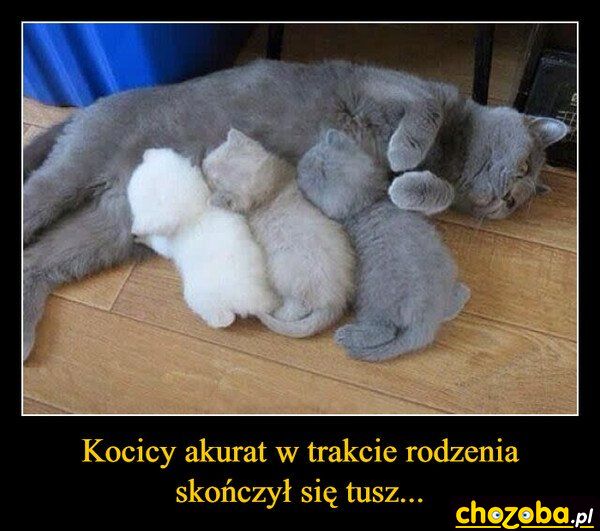 Skończył się tusz