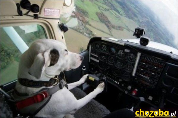Nowy pilot
