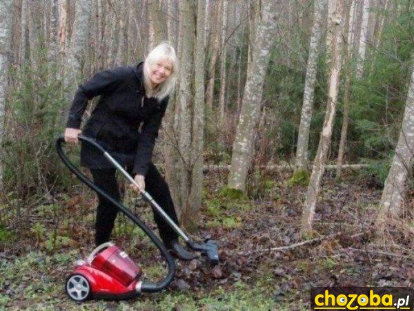 Twoja stara odkurza w lesie