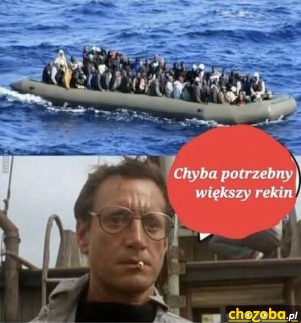 potrzebny-wiekszy-rekin
