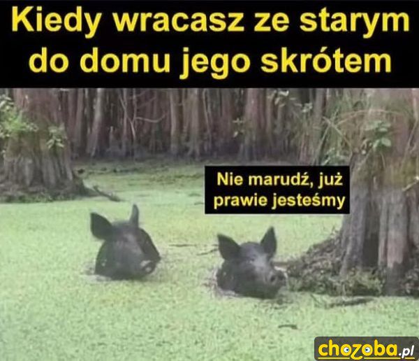 Na skróty