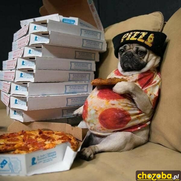 Grubasek na pizzy