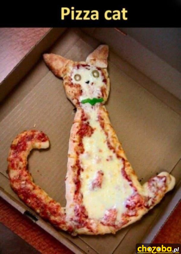 pizza-cat
