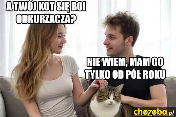 Kot i odkurzacz