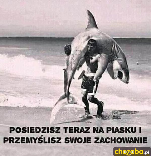 Niegrzeczny rekin