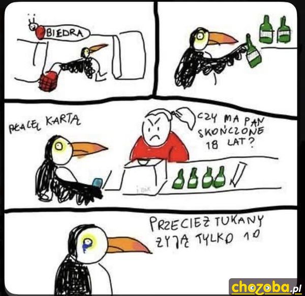 Tukan w biedronce