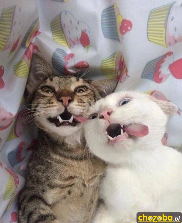 Selfie