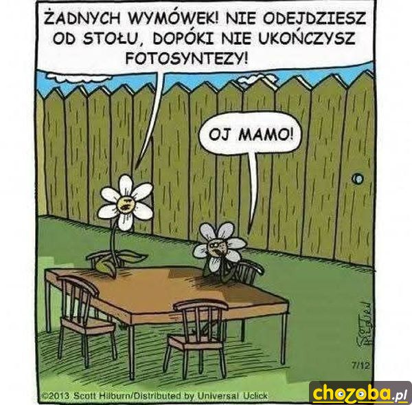 Kwiat niejadek