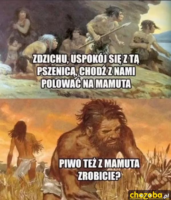 Pszenica czy mamut?