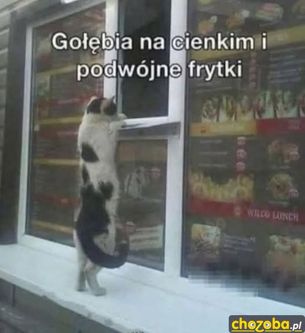 Zamówienie
