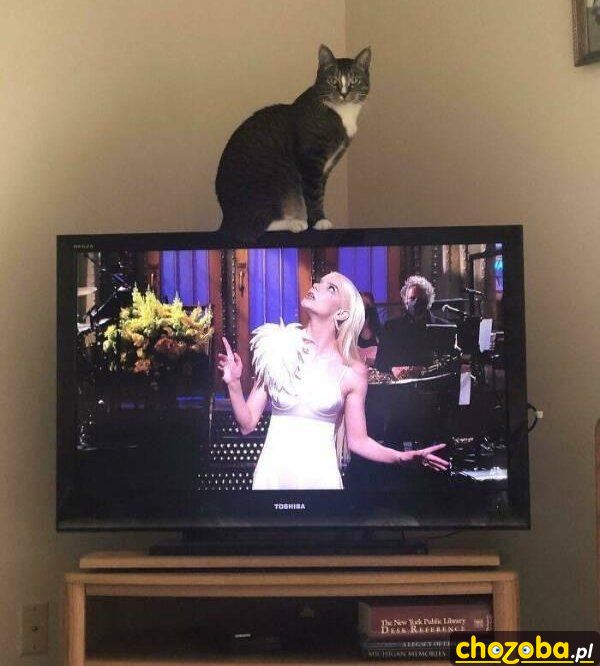 na-telewizorze