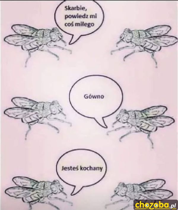 1752084167589807.jpg