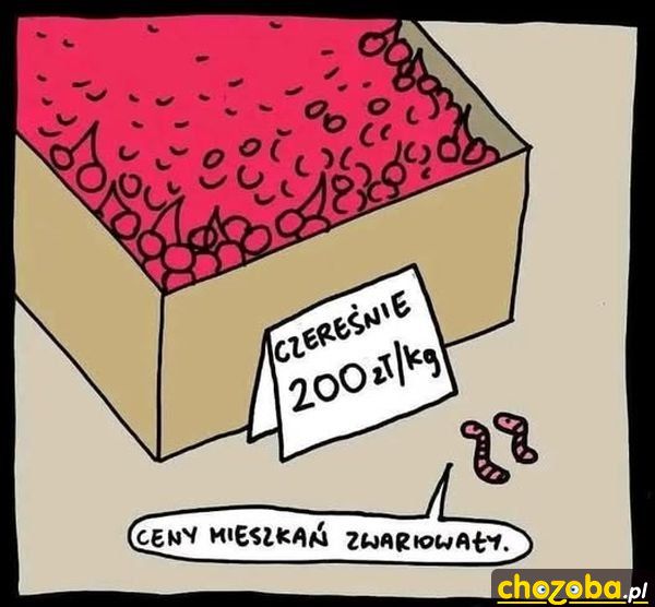 1752346903168268.jpg