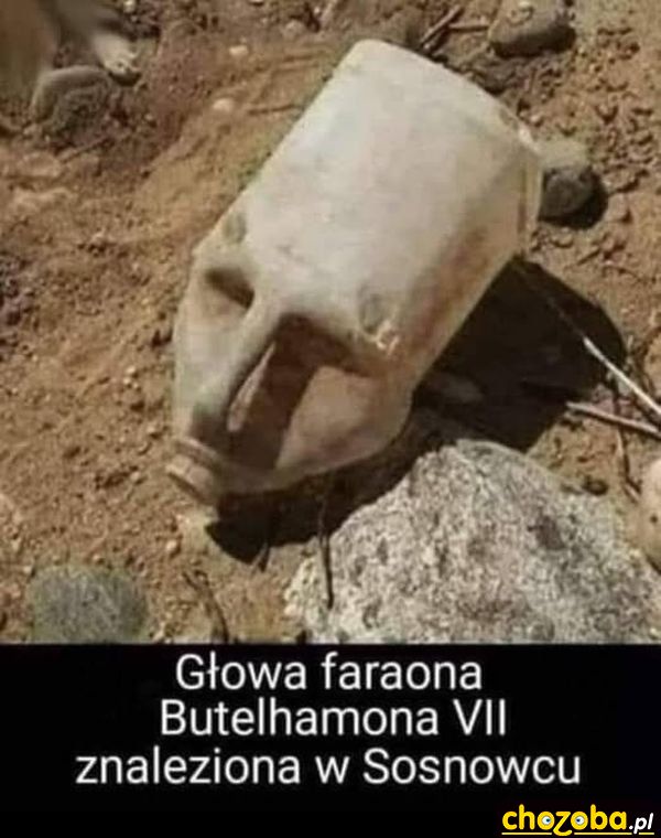 Głowa Faraona