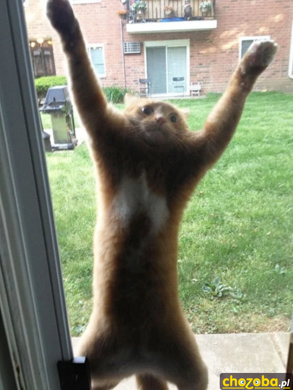Otwieraj!