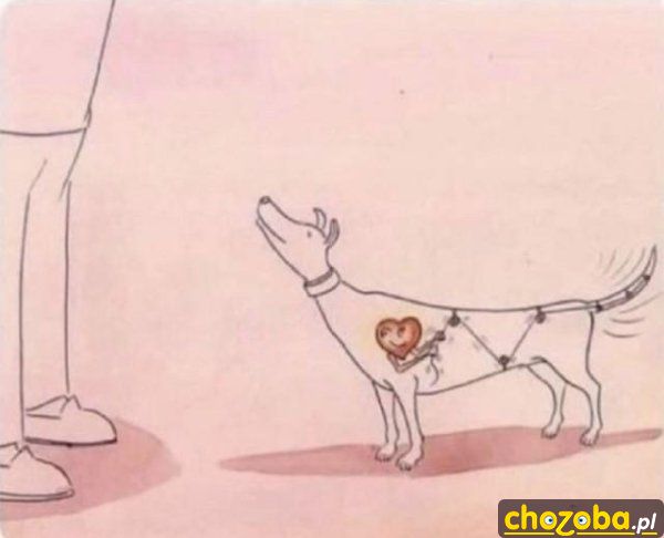 Jak to działa
