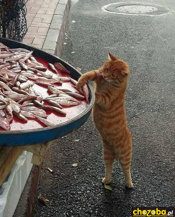 Poczęstuję się
