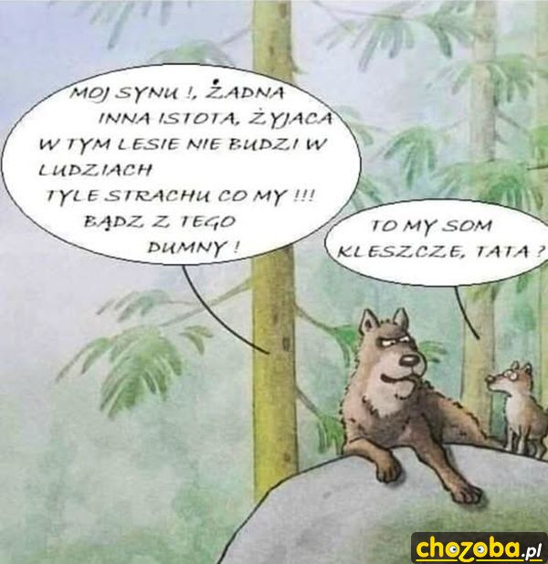 Postrach lasu