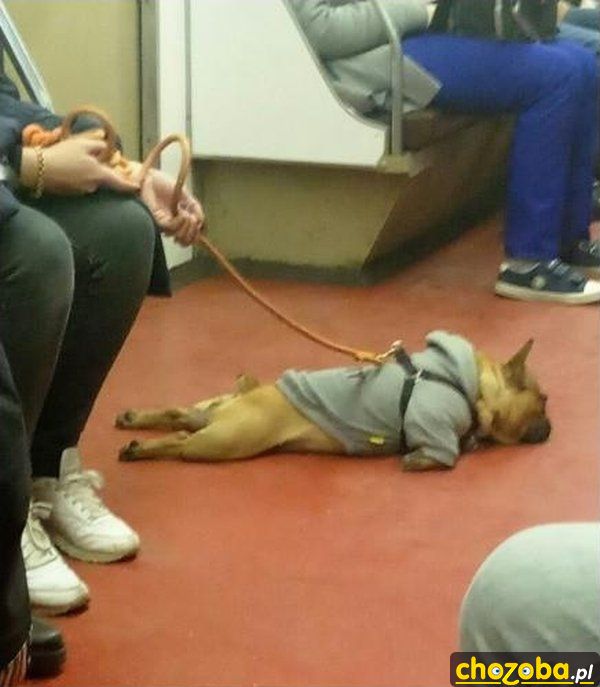 Dalej nie idę