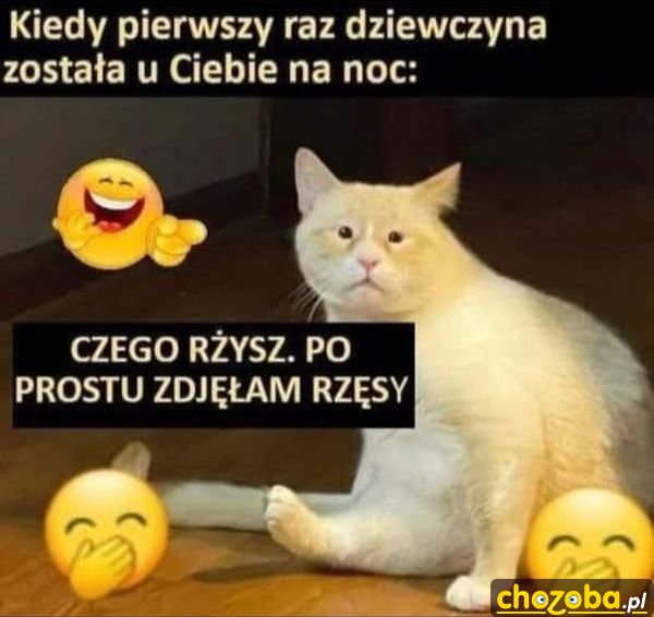 Sztuczne rzęsy