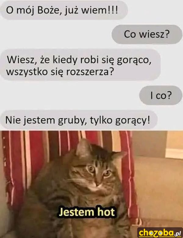 Hot koteł