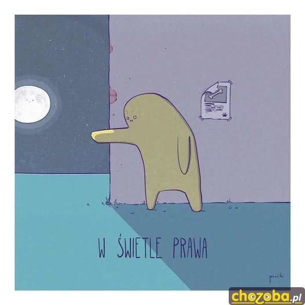 W świetle prawa