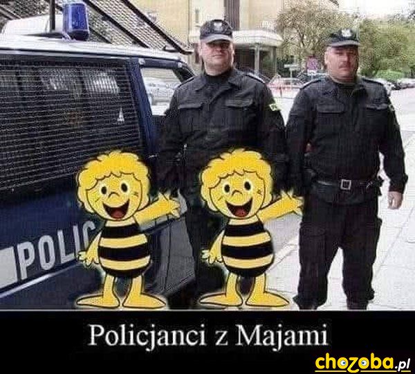 Policjanci z Majami