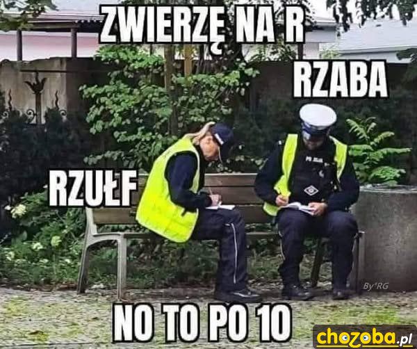 Gra