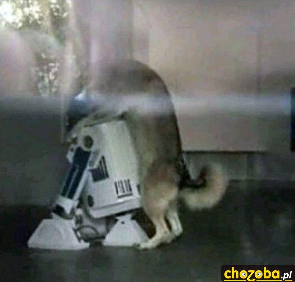 Cyber miłość
